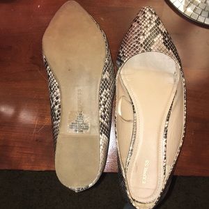 Express Flats